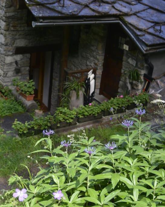 Evasion D'Ermitage Apartment Courmayeur Luaran gambar